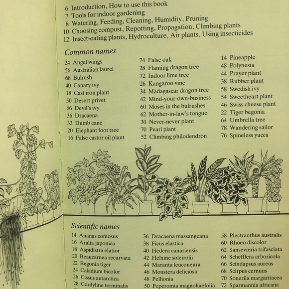 The Instant Guide to Healthy Foilage Houseplants Volume II David Longman Book - Picture 4 of 7